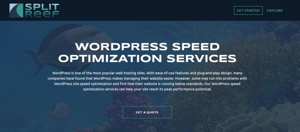 Split Reef WordPress speed optimization service will ensure the website speed you want, 
